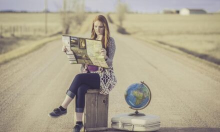 Happy Traveler